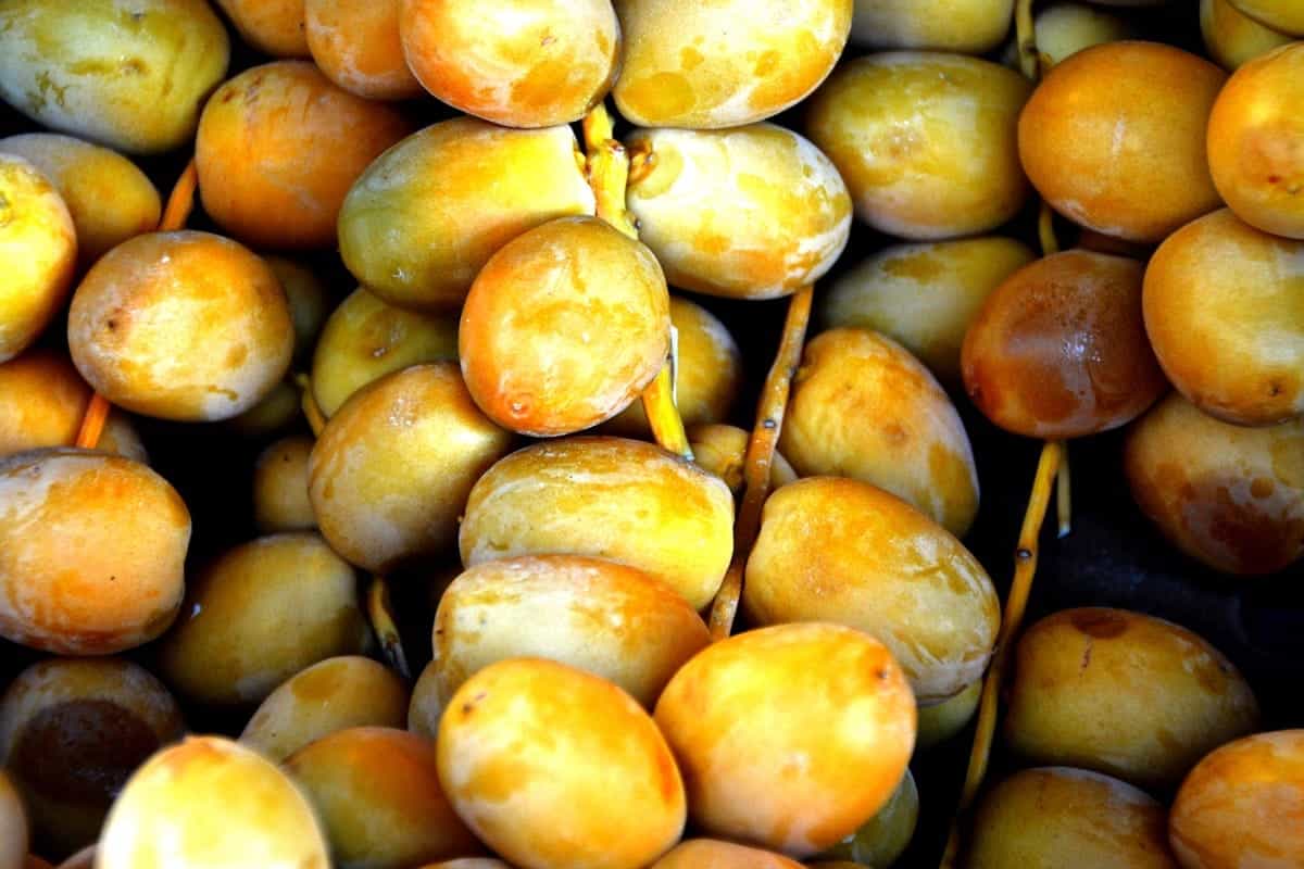  price references of 500g barhi dates types + cheap purchase 