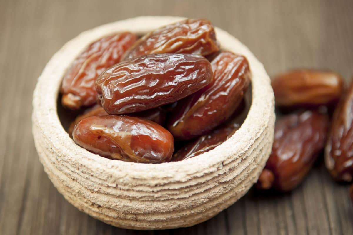  Buy Sayer Gaq Dates + great price 