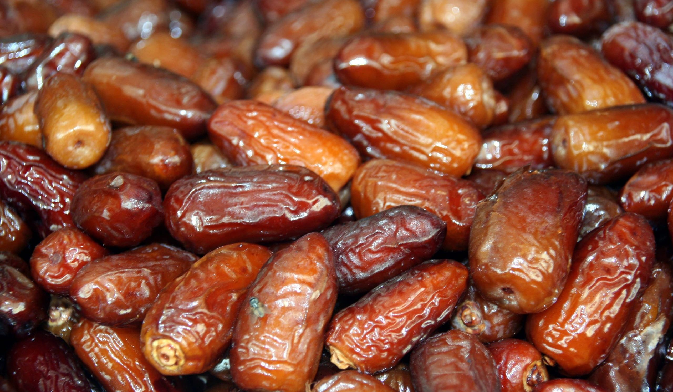  Buy All Kinds of halawi dates at the Best Price 