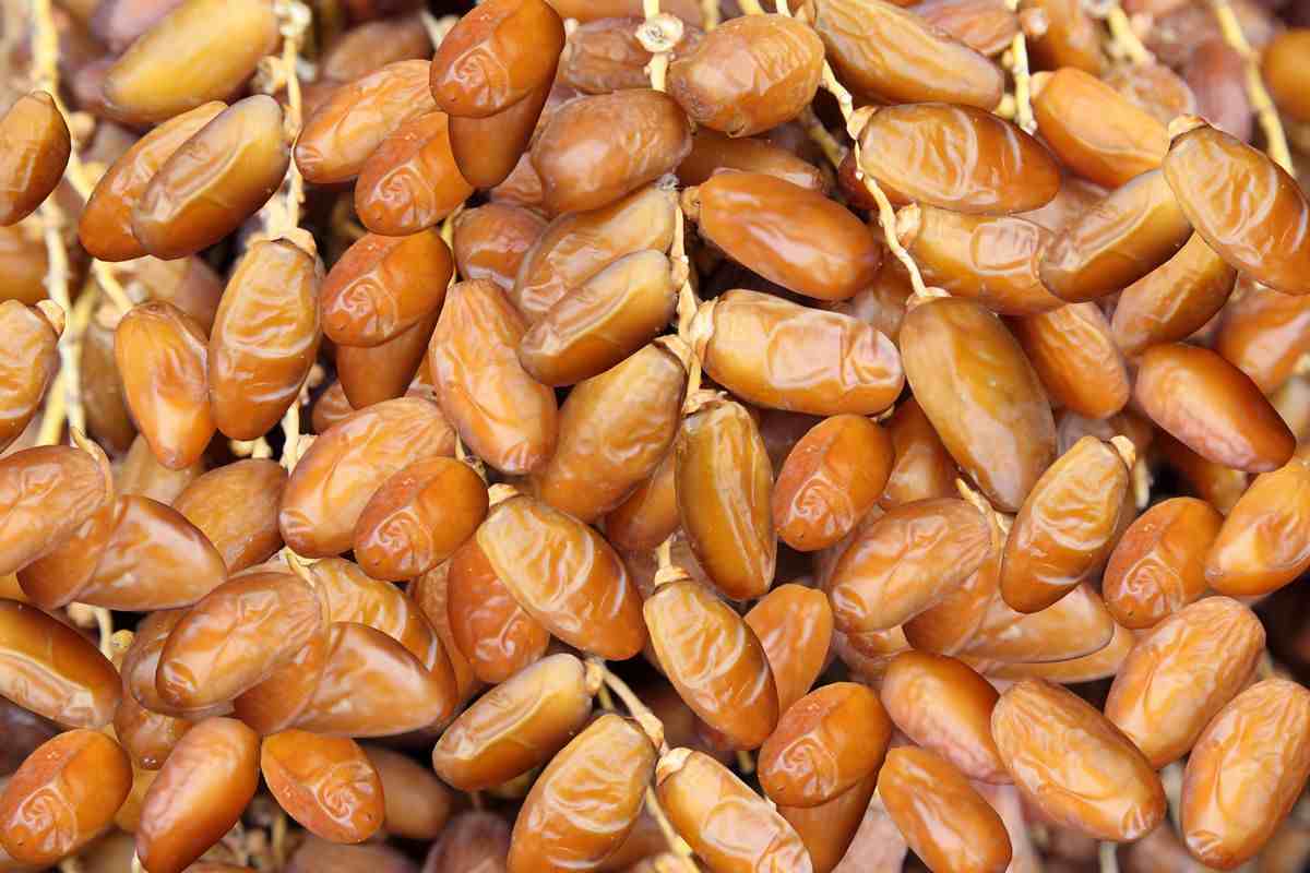  Buy Top deglet noor dates + Great Price 