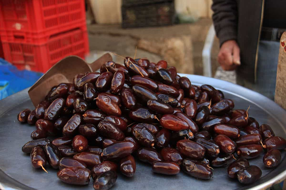  Buy and Current Sale Price of Bam Mazafati Dates 