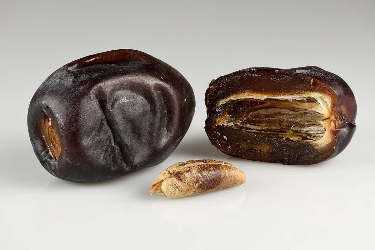  Buy and Current Sale Price of Bam Mazafati Dates 