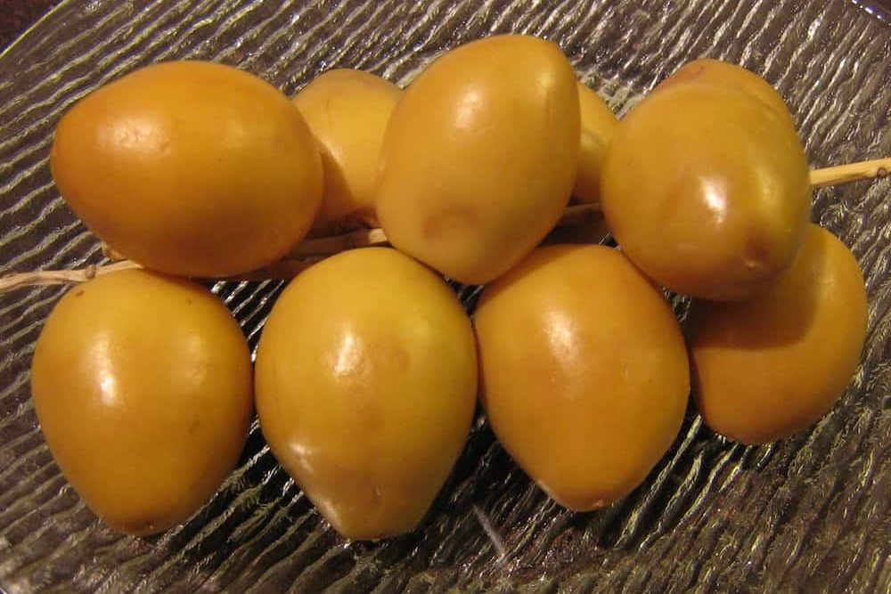  Introducing Best barhi dates + The Best Purchase Price 