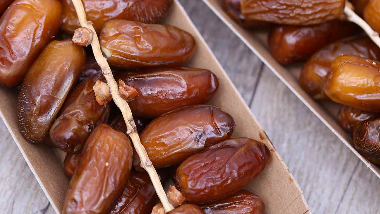  Deglet Noor dates + Purchase Price, Use, Uses and Properties 