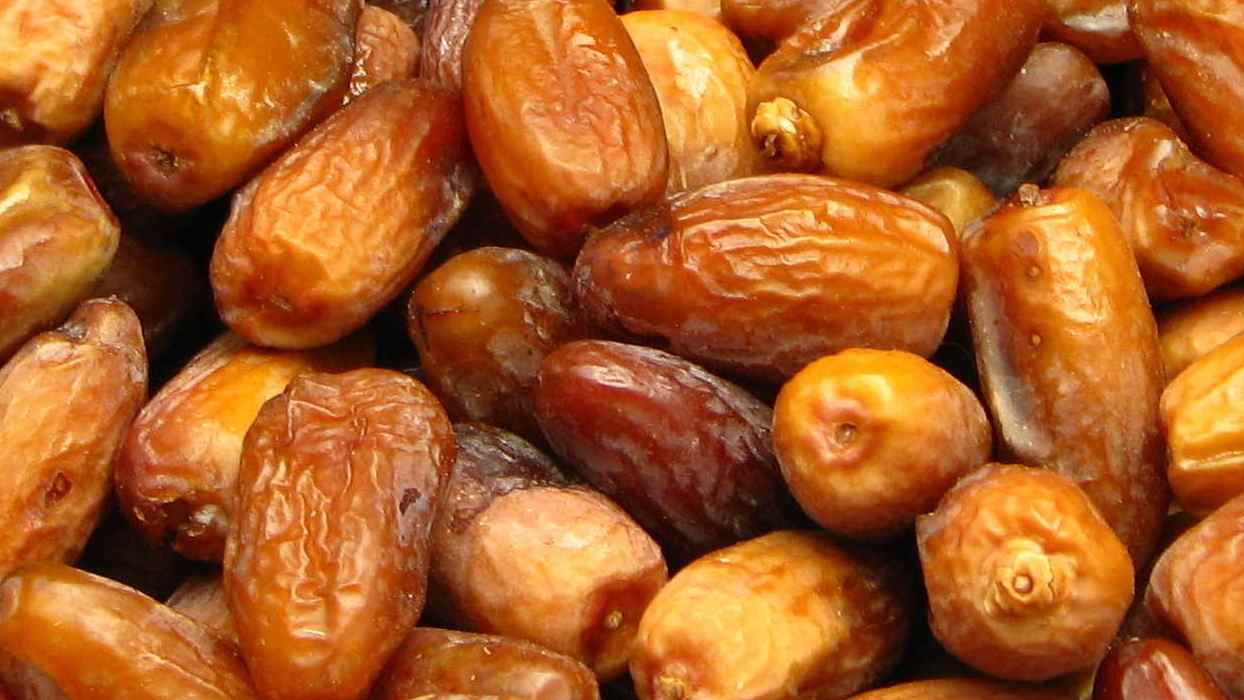  Deglet Noor dates + Purchase Price, Use, Uses and Properties 