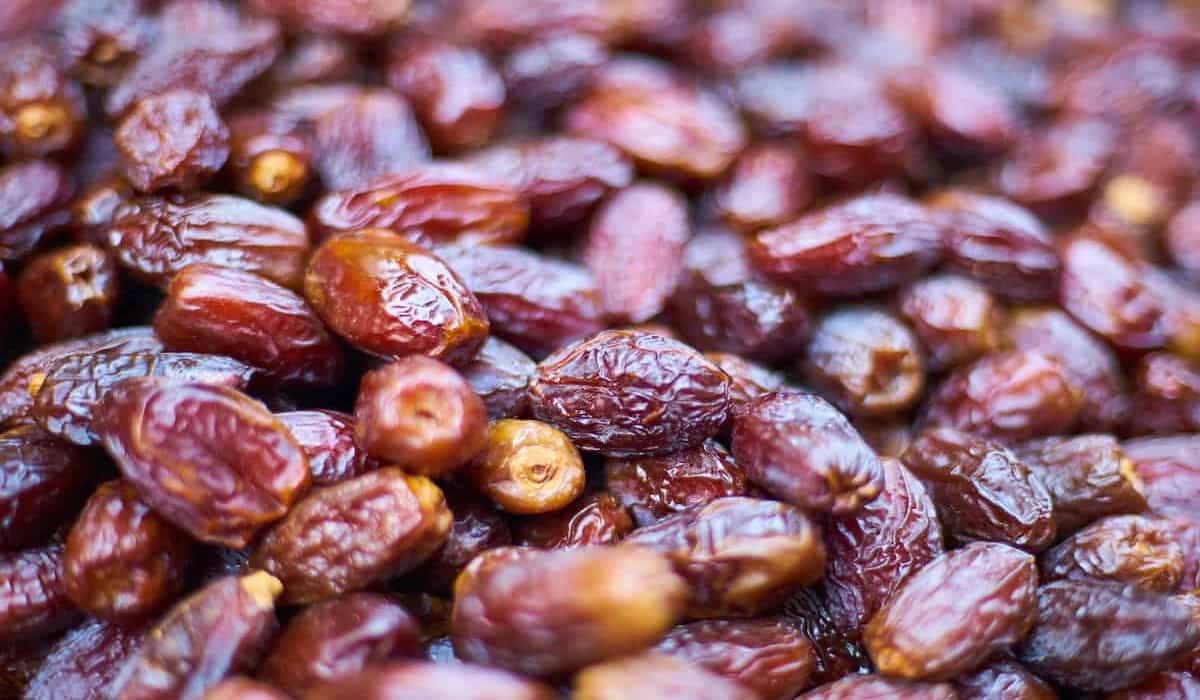  Buy Best dried dates + Great Price With Guaranteed Quality 