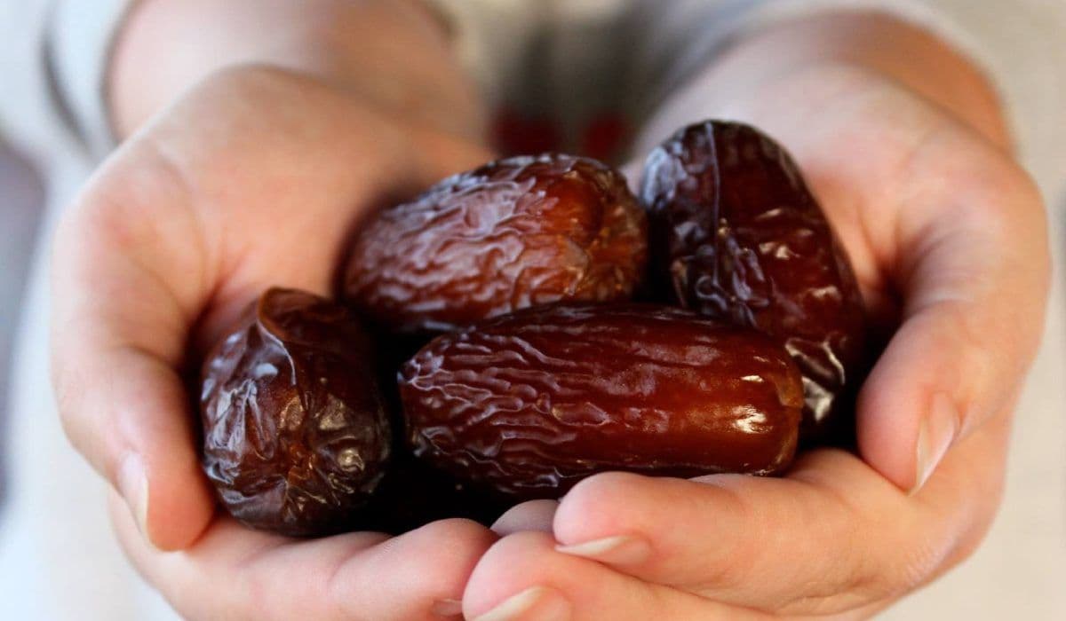  High quality degelt noor dates + The purchase price 