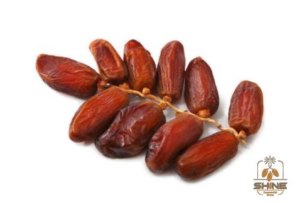 egypt fresh barhi dates purchase price + photo